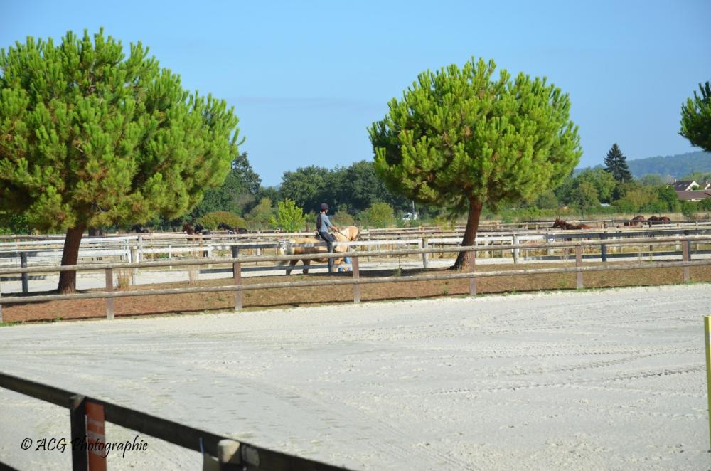 Ecurie Pauline Guignery entrainement