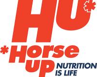 horse-up-bna