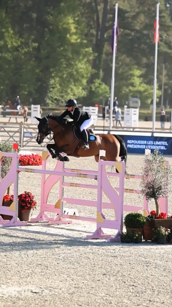 Chevaux de sport à Bréval