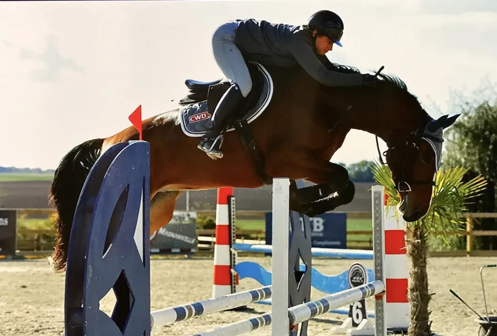cso (3)