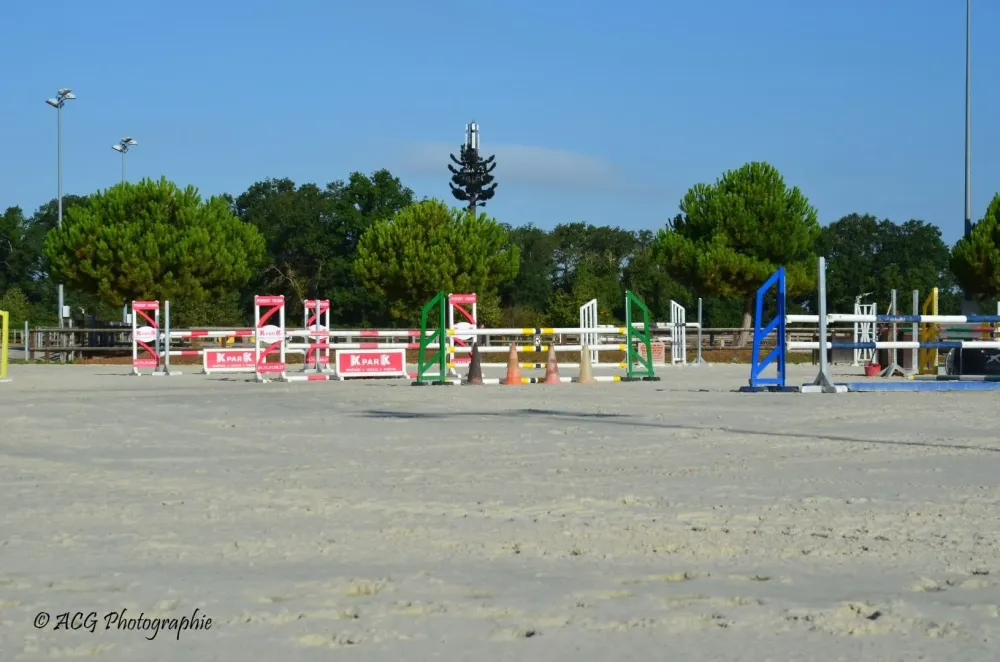 Vente de poulains à Bréval