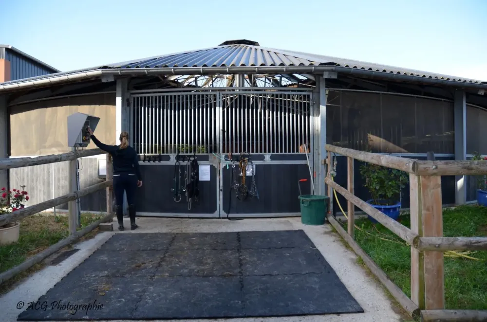 Achat cheval à Bréval