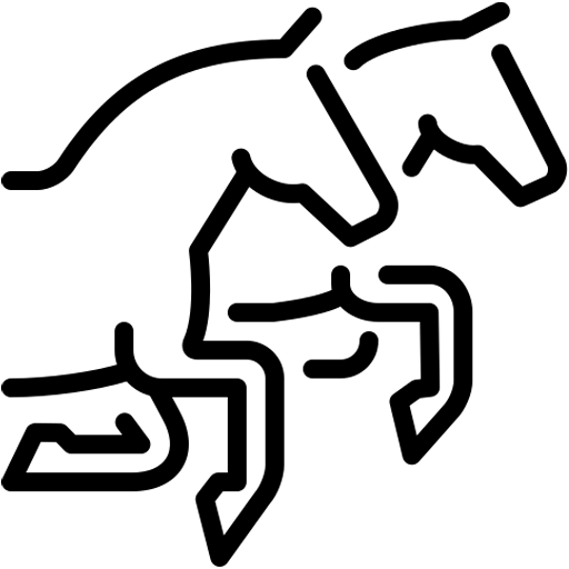 les-chevaux.webp